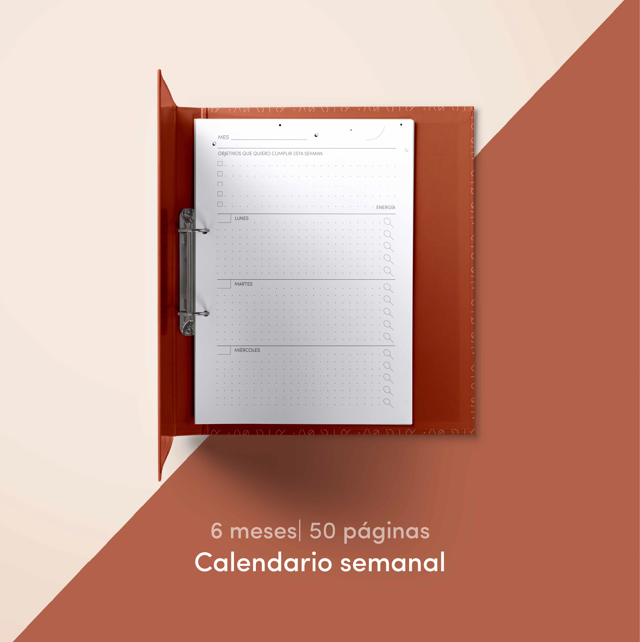 Organizador semanal